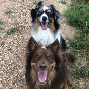 Fundraising Page: Maria H